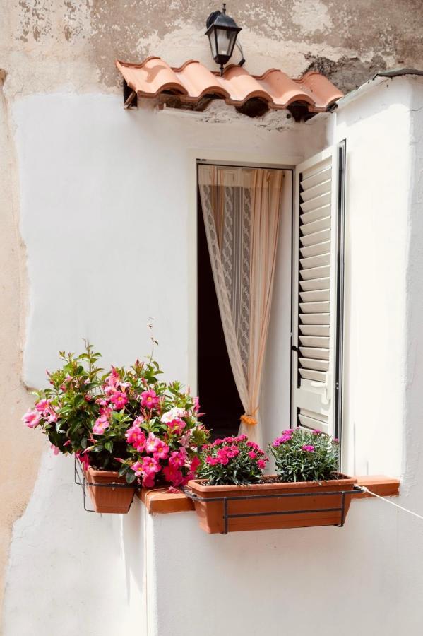 Il Riccio Apartment 28 Procida Eksteriør bilde